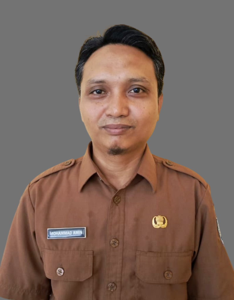 MOHAMMAD AMIN, S.Kom.